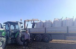 Patnos’ta patates hasadı başladı