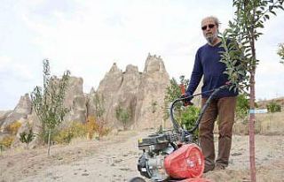 Peribacalarını ağaçlarla güzelleştiriyorlar