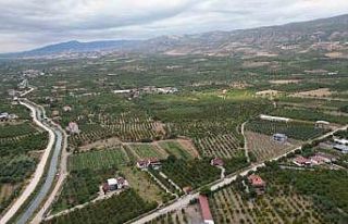 Prof. Dr. Gerçekcioğlu: "Meyvecilikte çiçeklenme...