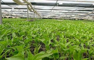 Prof. Dr. Resul Gerçekçioğlu: "Yabancı türler...