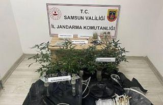 Samsun’da evdeki uyuşturucuya 1 gözaltı