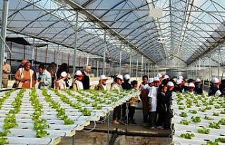 Samsun’da lider çocuk tarım kampı düzenlendi