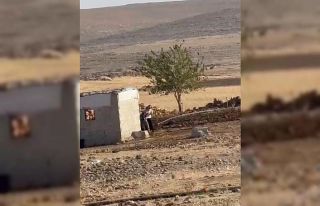 Şanlıurfa’da iki aile arasındaki silahlı çatışma...