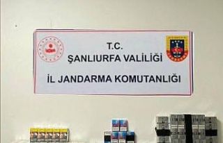 Şanlıurfa’da kaçakçılık operasyonu