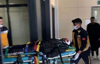 Şanlıurfa’da yol kenarında silahla vurulmuş...