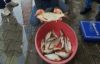 Sapanca Gölü’nde kızılkanat heyecanı: Amatör...