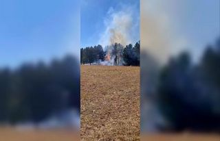 Sarıkamış ormanlarında örtü yangını