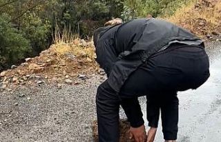 Şemdinli-Derecik karayoluna düşen kaya parçalarını...