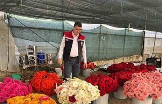 Serada sebzeden gerberaya: Üretim çeşitliliği...