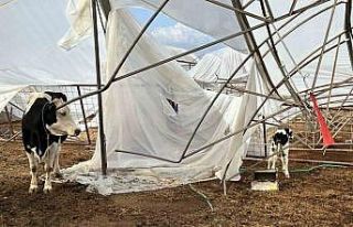 Serik’te hasar tespit çalışmaları sürüyor