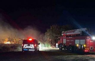 Serik’te yol kenarındaki otluk alanda çıkan yangın...