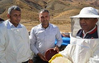 Siirt İl Tarım Müdürü Şanverdi: "Terörsüz...