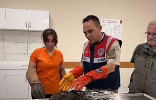 Siirt jandarmasından doğa dostu çalışmalar