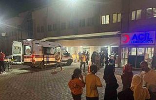 Siirt’te fıstık işçilerini taşıyan minibüs...