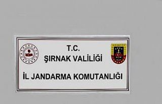 Şırnak’ta jandarmadan kaçakçılık operasyonu:...