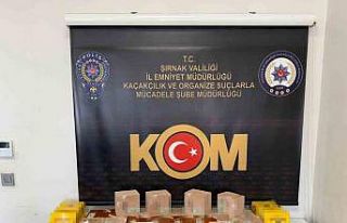 Şırnak’ta narkotik, kaçakçılık ve asayiş...