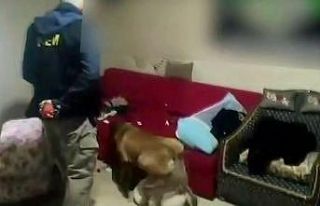 Sokak satıcılarına büyük darbe: 12 şahıs tutuklandı