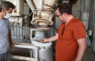 Söke Belediyesi’nden sokak hayvanları için örnek...