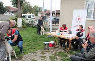 Son tarih 31 Aralık 2025