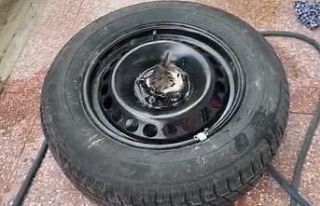 Stepneye sıkışan yavru kediyi itfaiye kurtardı