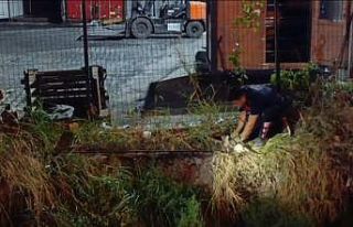 Su kanalına düşen kedi itfaiye ekiplerince kurtarıldı