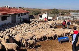 Tarım İl Müdürü Aksoy üreticinin sorunlarını...