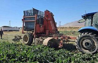 Tarımın kalbi Adilcevaz’da pancar sökümüne...
