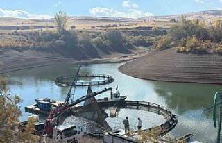 Tercan Baraj Gölü’nde su ürünleri üretimi büyüyor