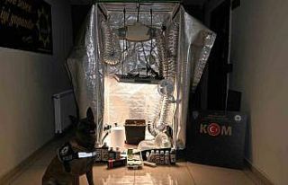 Test sonuçlarına para karşılığı müdahale:...