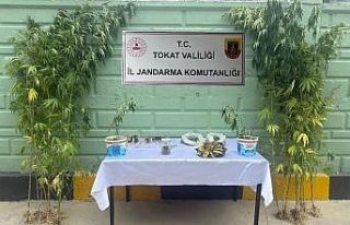 Tokat’ta jandarma ekipleri tarafından 2 ayda 56...