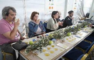 Tüketicilere Edremit’te zeytinyağında tağşişle...