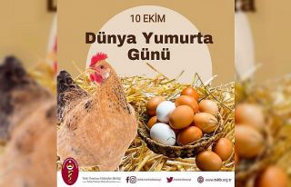 Türk Veteriner Hekimleri Birliği Başkanı Eroğlu:...