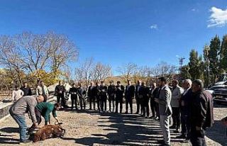 Tutak’ta hayvan pazarı yapılıyor