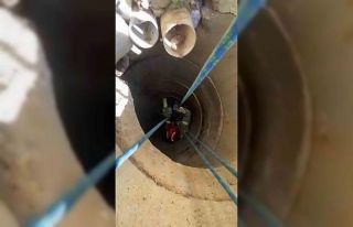 Tuzla’da 10 metrelik kuyuya düşen köpek operasyonla...