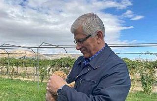 TVHB Genel Başkanı Eroğlu: "Hayvanlara verilen...