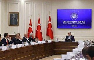 Üçlü Danışma Kurulu, "Sendikal Örgütlenmenin...