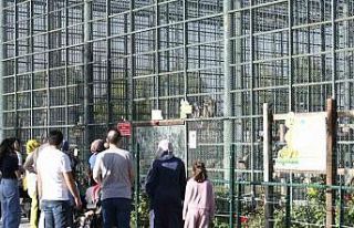 Ücretsiz olan hayvanat bahçesine ziyaretçi akını