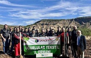 Uğurlular Tekstil 2000 fidanlık 2. Uğurlular Ormanı...