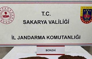 Uyuşturucu tacirleri jandarmadan kaçamadı: 2 tutuklama