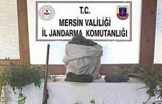 Uyuşturucu üreten şüpheli yakalanıp tutuklandı