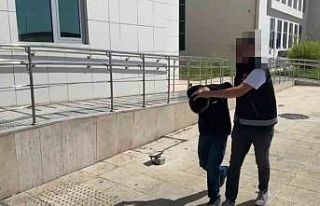 Uyuşturucudan hapis cezası alan 29 hükümlü yakalandı