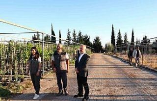 Vali Varol, orman fidanlığında incelemelerde bulundu