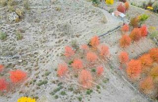 Yağlı boya tablolarını andıran sonbahar manzarası