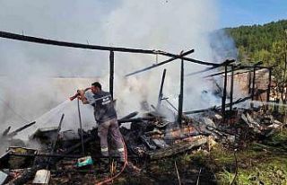 Yangında 36 kovan arı telef oldu