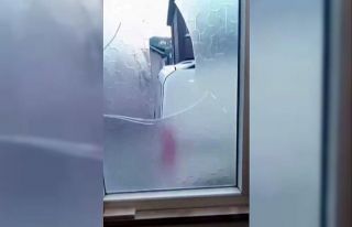 Yaşlı çift komşularının kabusu oldu