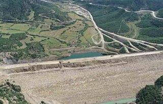 Yok olma tehlikesi bulunan ’bağ havacivası’...