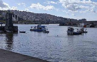 Zonguldak Limanı sarı renge boyandı