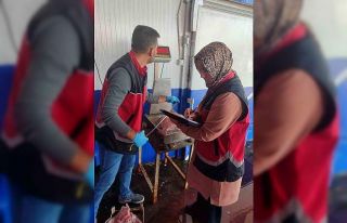 Zonguldak’ta su ürünleri denetimleri sürüyor