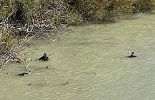 11 gün önce kaybolan engelli şahsın Göksu’da...