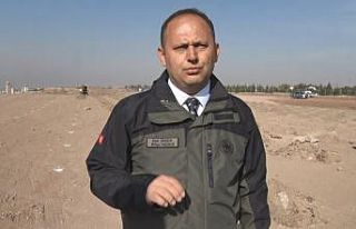 11 Kasım Milli Ağaçlandırma Günü için hazırlıklar...